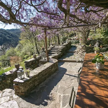 Couette-café Du Coupétadou