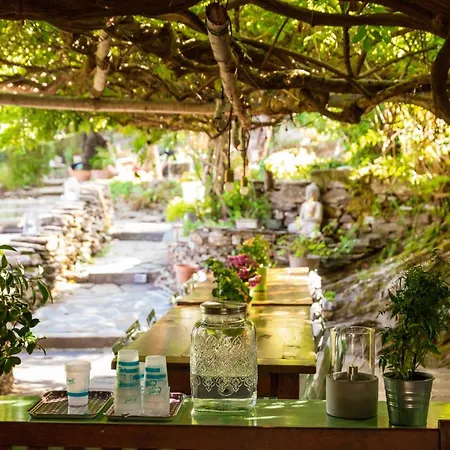 Du Coupétadou Couette-café Vialas