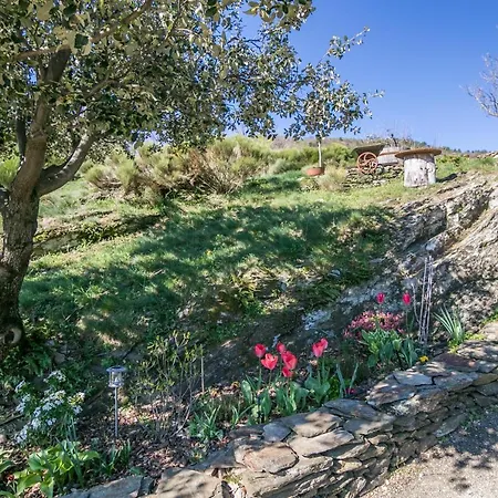 Du Coupétadou * Vialas