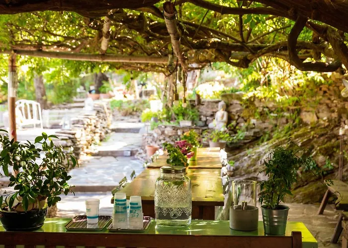 Du Coupetadou Bed & Breakfast Vialas