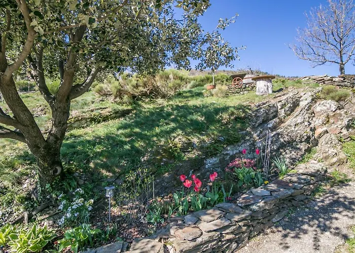 Du Coupetadou * Vialas